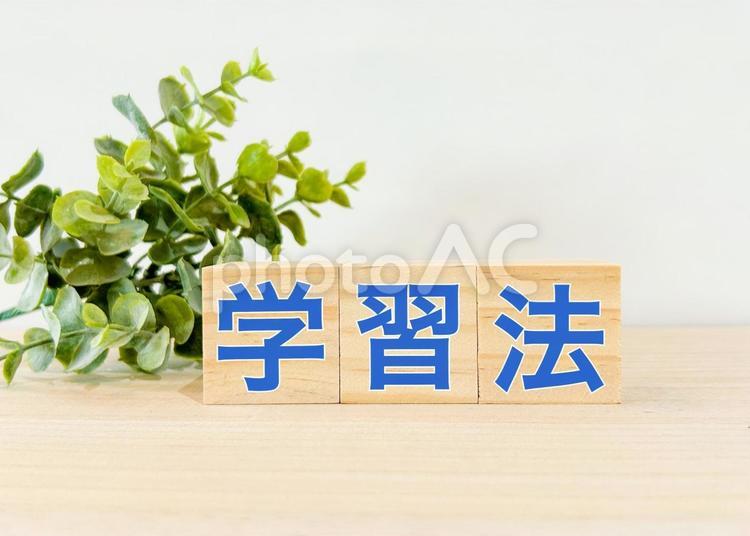 学習法 学習法,勉強法,ノウハウの写真素材