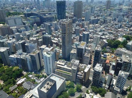 東京タワーから見た景色 街並み,東京,自然の写真素材