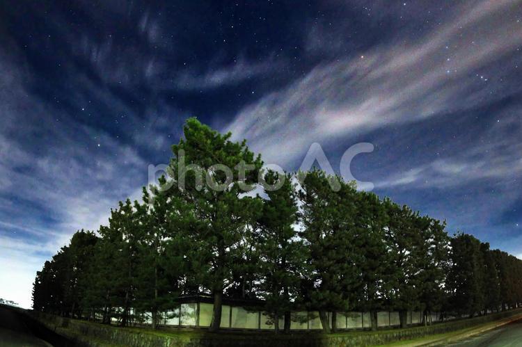 5月の築地松と星空 築地松,星空,春の写真素材