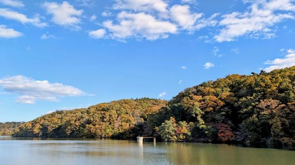 紅葉終盤の加瀬沼紅葉と青空 紅葉,終盤,加瀬沼の写真素材