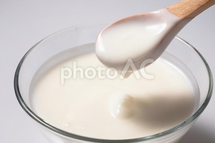ガラスの器に入れたヨーグルト ヨーグルト,牛乳,乳製品の写真素材