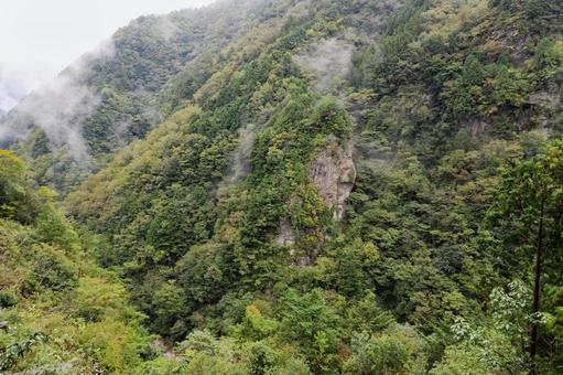 やなだにキャニオン 仁淀川水系上流1 やなだにキャニオン 仁淀川水系上流1の写真