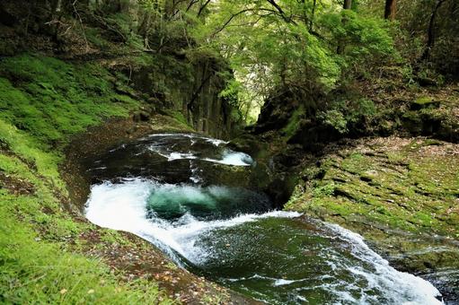 赤目の滝 赤目の滝の写真