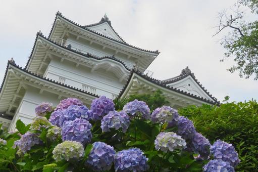 Hydrangea and Castle 4, JPG