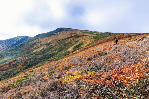 秋色に染まる 栗駒山の絶景 秋色に染まる 栗駒山の絶景 山,秋,紅葉の写真素材