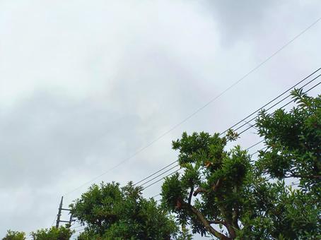 鬱蒼とした空 グリーン,くもり,景色の写真素材