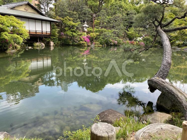 都会のオアシス　日本庭園 風景,都市公園,公園の写真素材
