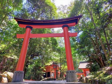 宇佐神宮の鳥居 宇佐神宮の鳥居 神社,緑,自然の写真素材