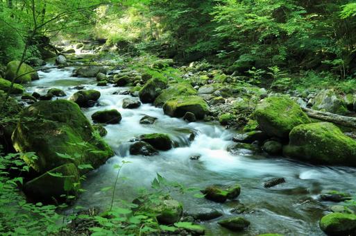 尚仁沢湧水 尚仁沢湧水 尚仁沢湧水,栃木県,塩谷町の写真素材