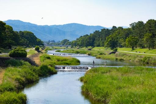 賀茂川の風景 賀茂川の風景 京都,鴨川,賀茂川の写真素材