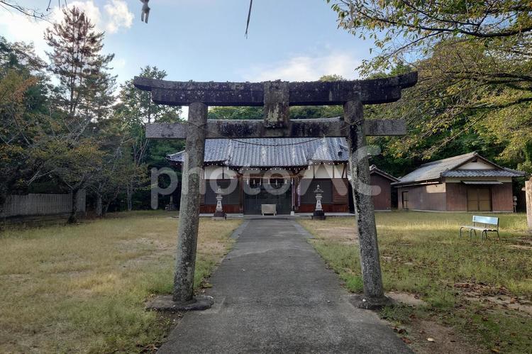 香川県-神野神社-石鳥居と拝殿 神野神社,神社,石鳥居の写真素材