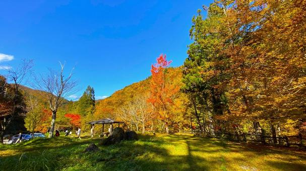 紅葉のせせらぎ街道 平滝付近の公園:2 紅葉のせせらぎ街道 平滝付近の公園:2 紅葉,せせらぎ街道,秋の写真素材