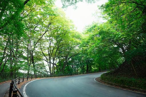 カーブする山道 坂道,カーブ,ワインディングロードの写真素材