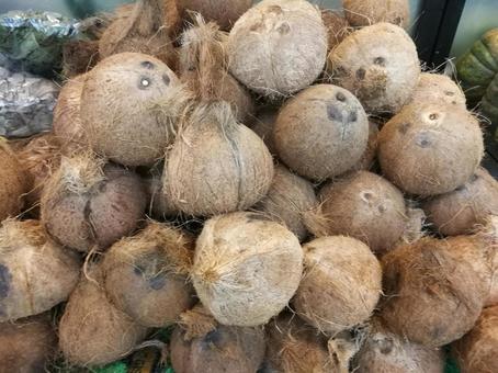 ココナッツの山 ココナッツの山の写真