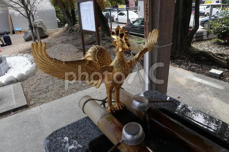 富岡八幡宮　手水舎 富岡八幡宮,手水舎,神社の写真素材