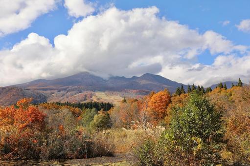 紅葉　妙高高原　いもり池 秋,自然,湖の写真素材