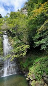 緑豊かな森と滝の絶景スポット 行楽 観光 緑豊かな森と滝の絶景スポット 行楽 観光 滝,新緑,自然の写真素材