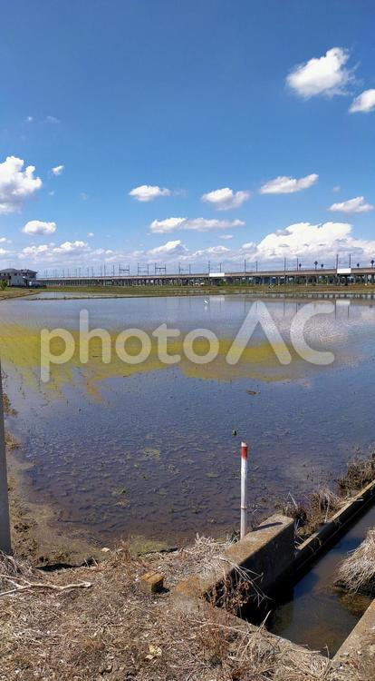 青空と田んぼが広がる風景 自然,風景,緑の写真素材