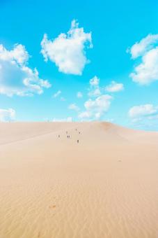 【鳥取】鳥取砂丘と青空 鳥取砂丘,鳥取,砂丘の写真素材