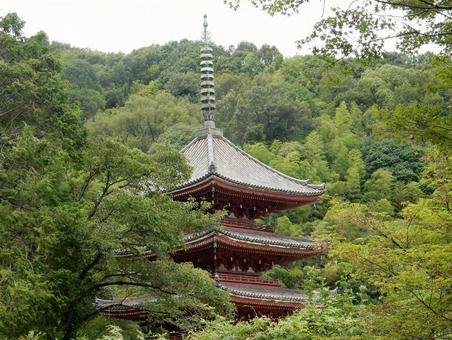 【風景写真】明王院の風景 五重塔,明王院,国宝の写真素材