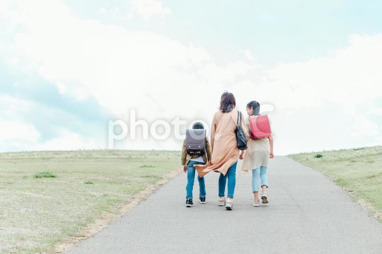 道を歩く親子（後ろ姿） 親子,子供,送り迎えの写真素材