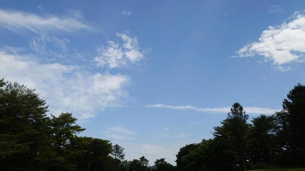 青空 青空の写真