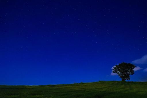 星空の公園 星空の公園の写真