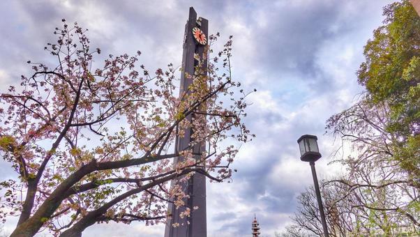 Photo, park, forecourt of the national assembly building, oasis, 