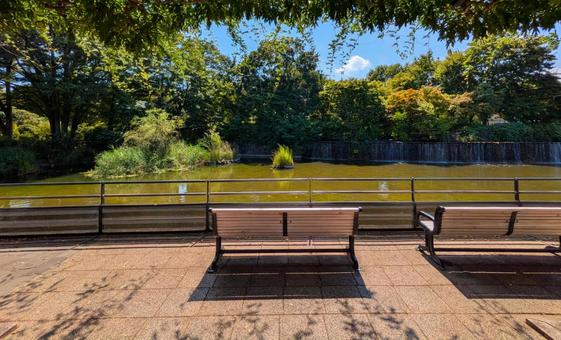 夏の公園の写真