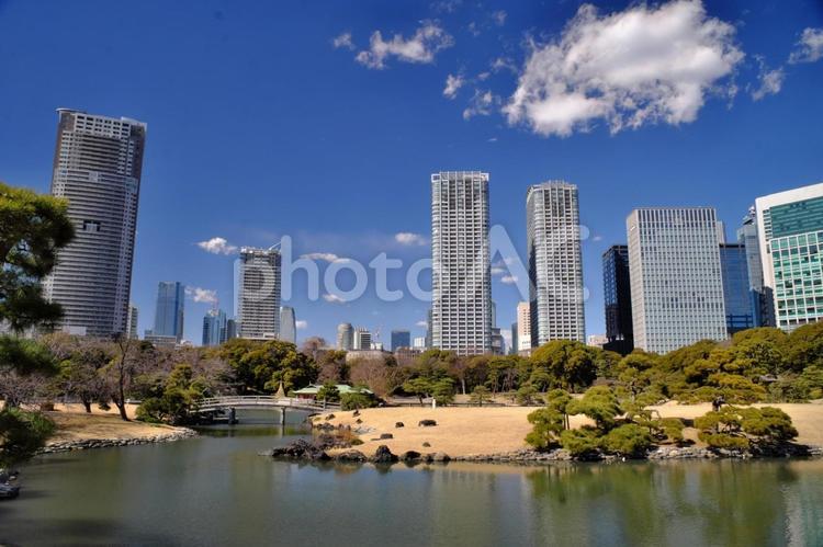 浜離宮から見た青空と高層ビル群③ 浜離宮恩賜庭園,浜離宮,観光地の写真素材
