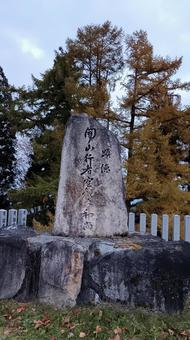 魚沼スカイライン護国観音苑 魚沼スカイライン,早朝,秋の写真素材