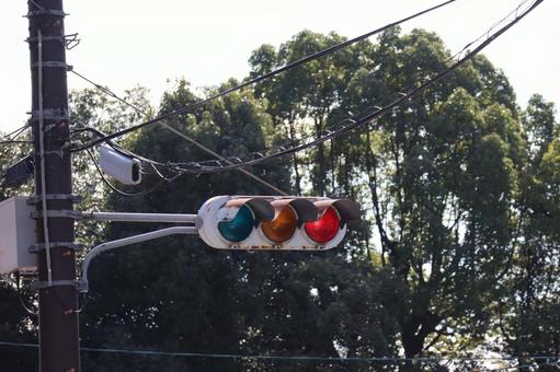 緑の街路樹と赤く点灯する信号機のある街 緑,街路樹,赤くの写真素材