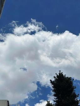 夏の空 夏の空の写真