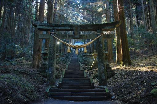 熊本県高森町 上色見熊野座神社 参道 熊本県高森町 上色見熊野座神社 参道 上色見熊野座神社,神社,鳥居の写真素材