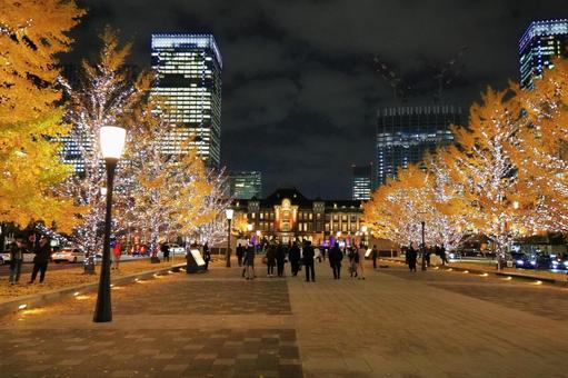 夜の東京駅 夜の東京駅 東京駅,行幸通り,イルミネーションの写真素材