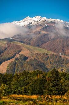 白馬の三段紅葉 白馬,綺麗,長野の写真素材