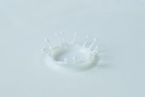 ミルククラウン ミルククラウン 牛乳,ミルククラウン,ミルクの写真素材