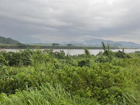 増水した川 増水した川の写真