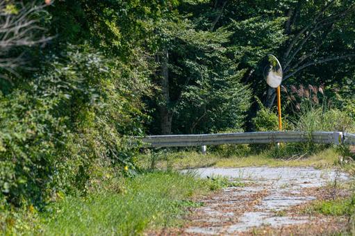 夏の景色の写真