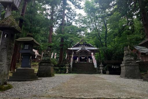 新潟県-関山神社-拝殿と参道 新潟県-関山神社-拝殿と参道 関山神社,神社,拝殿の写真素材