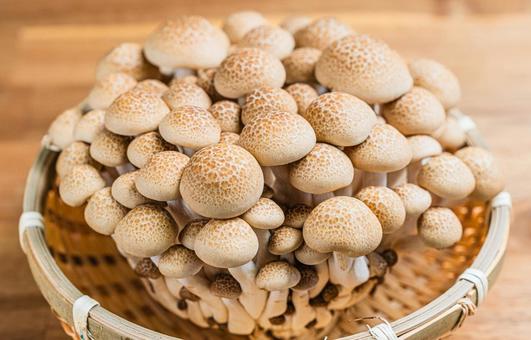 ぶなしめじのかご盛り ぶなしめじのかご盛り ぶなしめじ,しめじ,きのこの写真素材