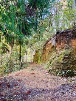 秘密の道の写真