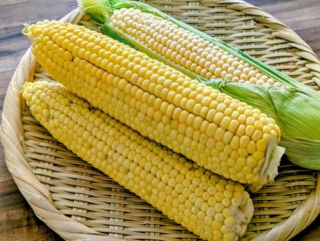 採れたての夏野菜(とうもろこし)3 採れたての夏野菜(とうもろこし)3 夏,夏野菜,とうもろこしの写真素材