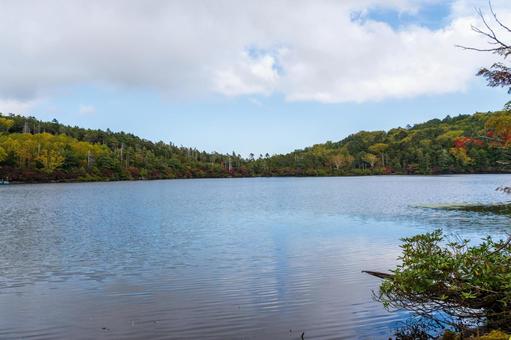 八ヶ岳白駒池 池の風景 八ヶ岳白駒池 池の風景 日本,長野県,南佐久郡の写真素材