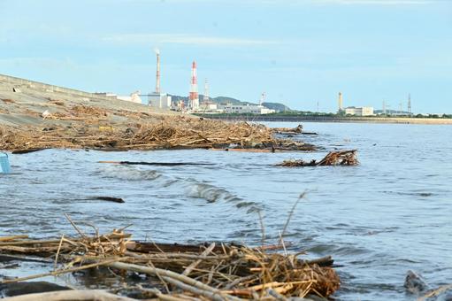 漂流ごみ:流木 漂流ごみ:流木の写真