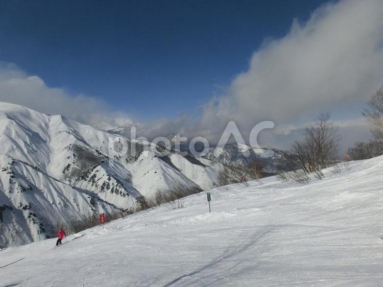 白馬五竜・Hakuba47スキー場の風景 スキー場,冬,雪の写真素材