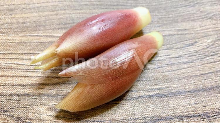 みょうが　野菜　夏野菜 みょうが,ミョウガ,薬味の写真素材