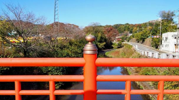 秋の飯山温泉・庫裡橋&秋色の木(厚木市) 秋の飯山温泉・庫裡橋&秋色の木(厚木市) 秋,飯山温泉,厚木市の写真素材