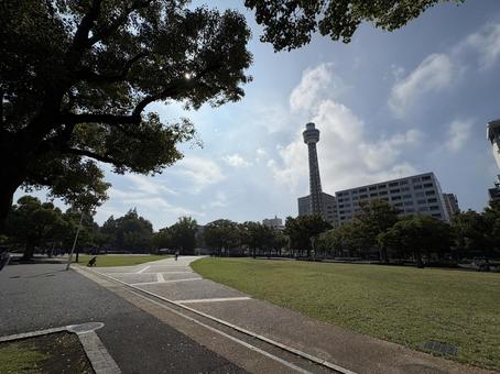 秋の山下公園 横浜,マリンタワー,山下公園の写真素材