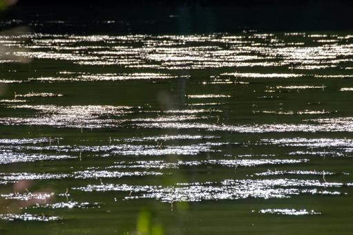 大沼の静寂と光が織りなす水面の模様 大沼公園,湖面,水面の写真素材